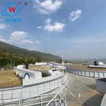 Tagħmir ta' Flotazzjoni tal-Ion Baxx